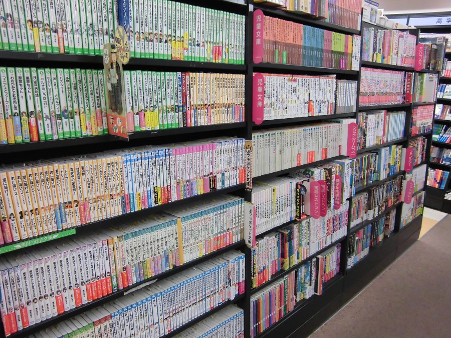 Reading light novel. Novels shop.